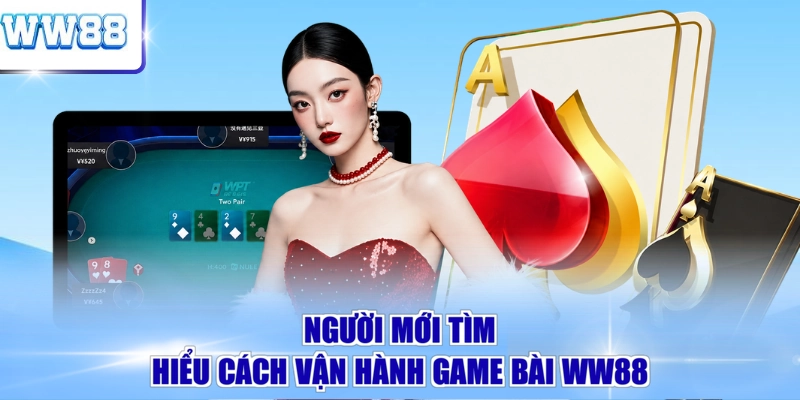 Người mới tìm hiểu cách vận hành game bài WW88